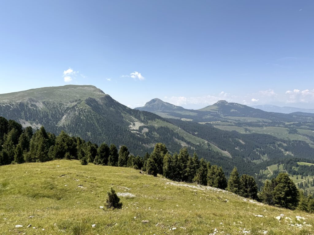 Blick in die Südtiroler Alpen mit Wiese und Bäumen