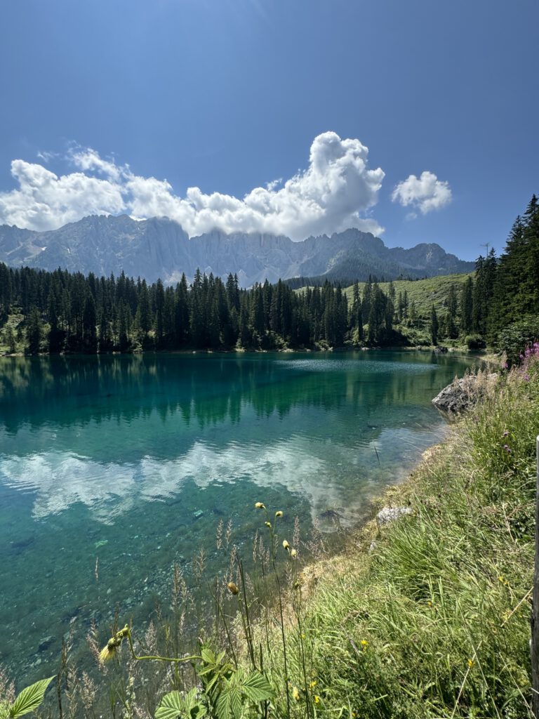 Blick auf einen smaragdgrünen See vor der beeindruckenden Kulisse der Dolomiten umgeben von Wiesen und Wäldern