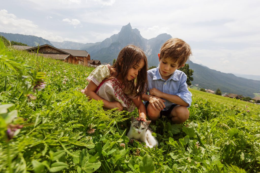 Kinder streicheln auf der Alm eine Katze. Im Hintergrund sind die Alpen.